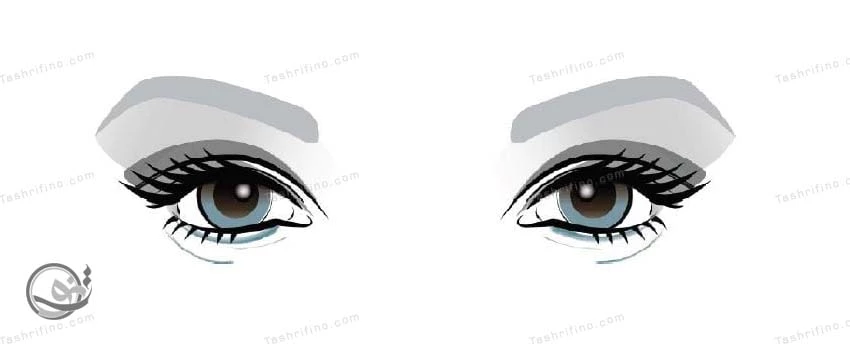 بهترین ترفندها و نکات آرایش چشم کوچک و گود