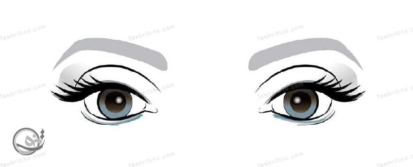 بهترین ترفندها و نکات آرایش چشم درشت و برآمده