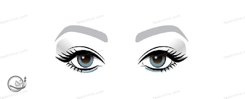 بهترین ترفندها و نکات آرایش چشم های با فاصله کم و نزدیک