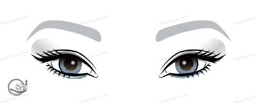 بهترین ترفندها و نکات آرایش چشم بادامی