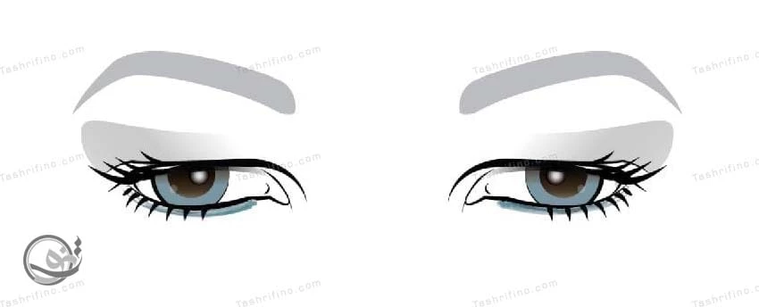 بهترین ترفندها و نکات آرایش چشم با پلک افتاده